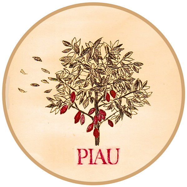 Maxence Piau